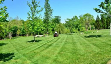 Lawn care services Wake Forest NC