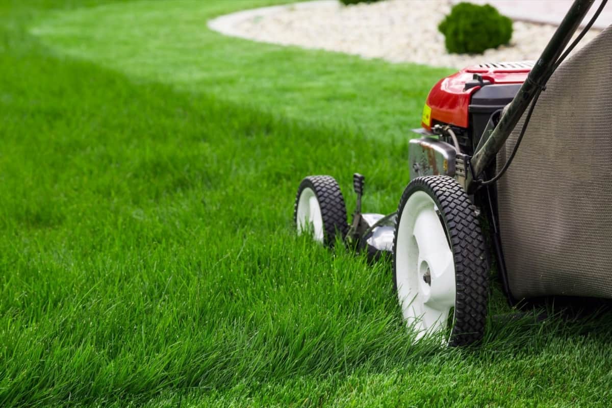 landscaping