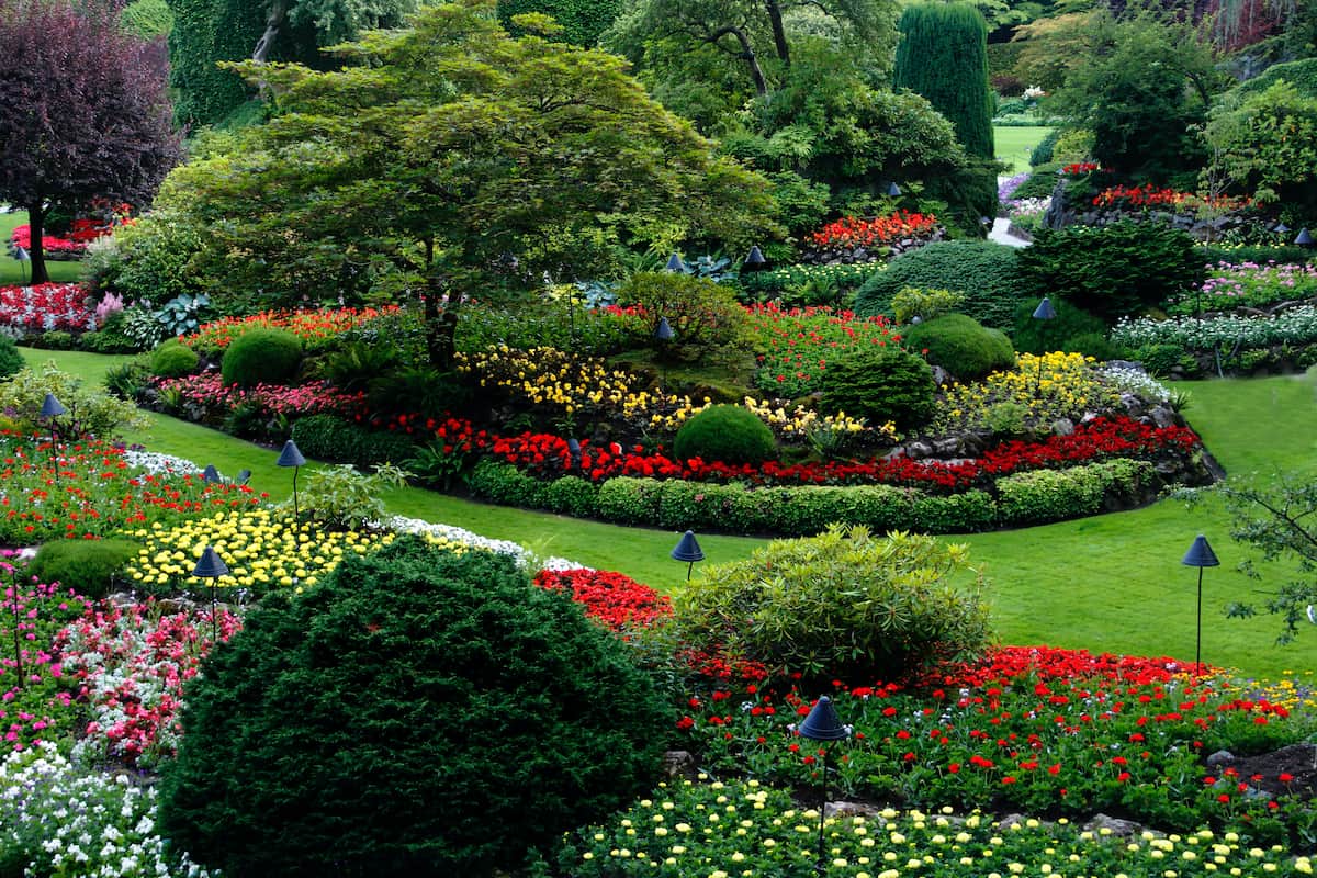 How to get landscaping license