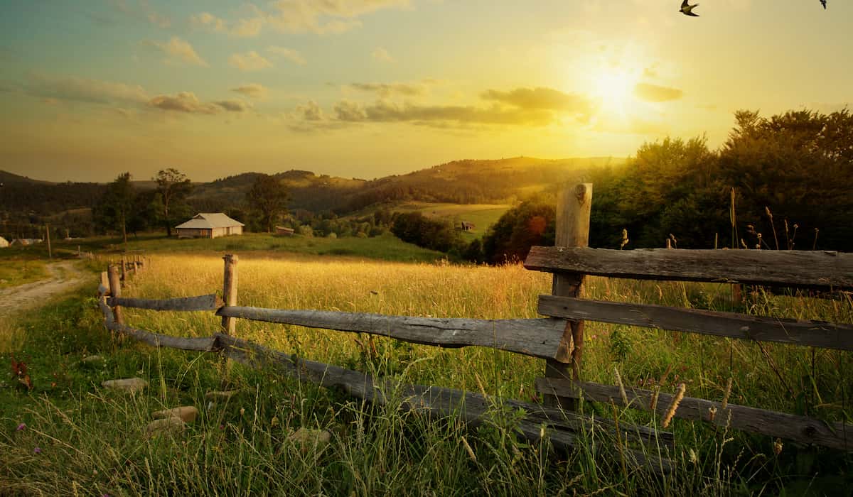 Buying a farm