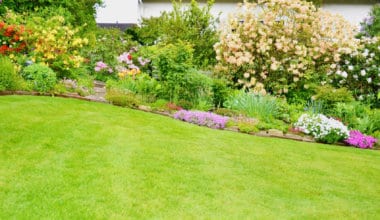 Modern landscape design