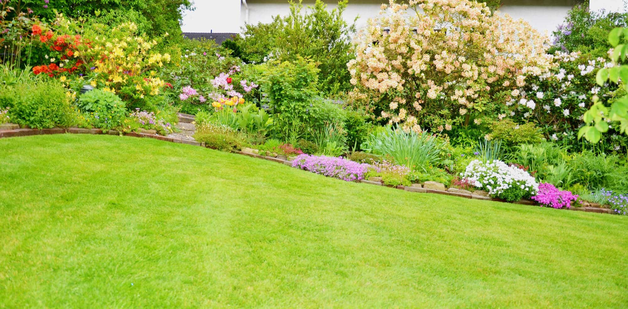 Modern landscape design