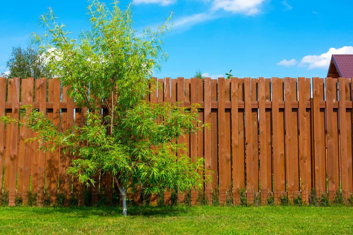 Get the max lifespan with your Cedar fence