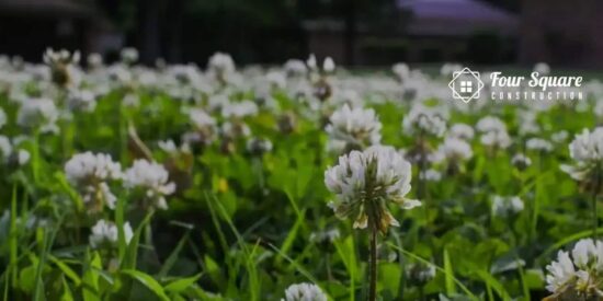 Weed control for lawns