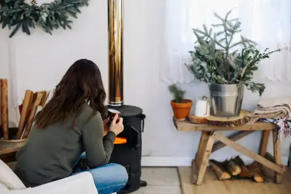 wood stove Wood Stove to Your Home
