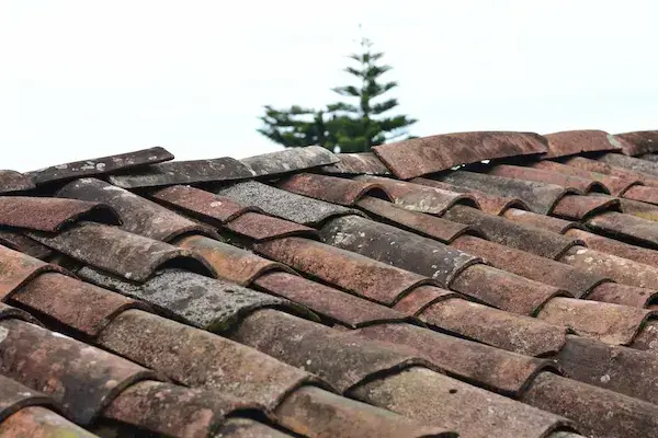 replace a roof Roofing