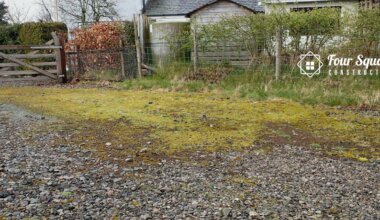 How to Get Rid of Nostoc On Gravel Driveway