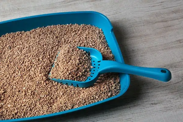 Cat Litter