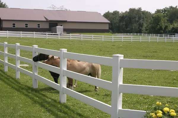 Split Rail Fence