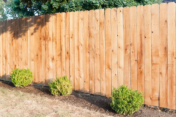 cedar vs redwood fence Cedar - Environmental Sustainability