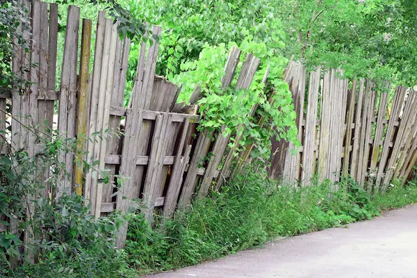 Fence Replacement Costs