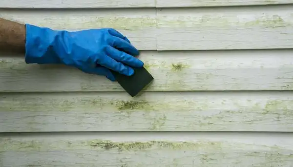 how to clean black marks off vinyl fence how to wash Vinyl Fence