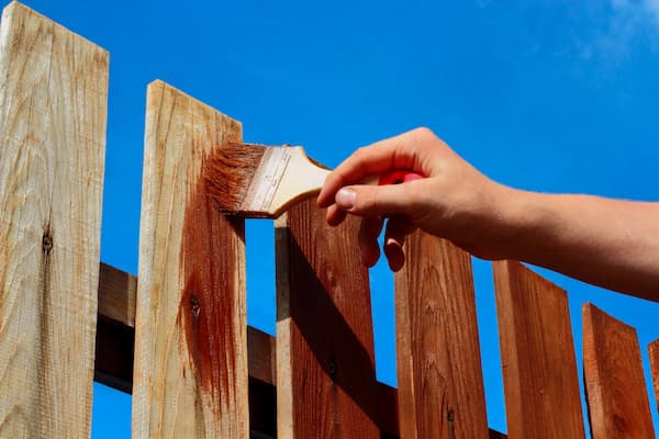 Paint Cedar Fence