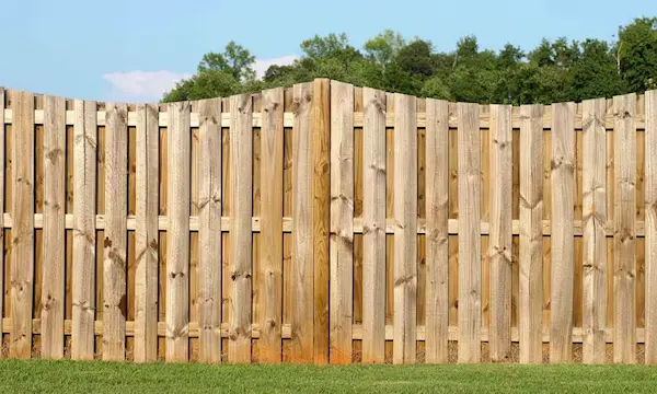  Shadow Box Fences