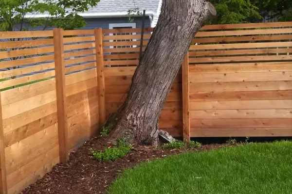 Cedar Fence
