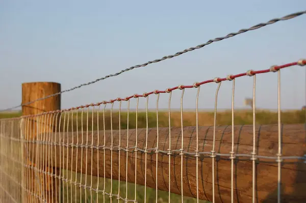 Cheaper Alternative To Chain Link Fence Woven Wire Fencing
