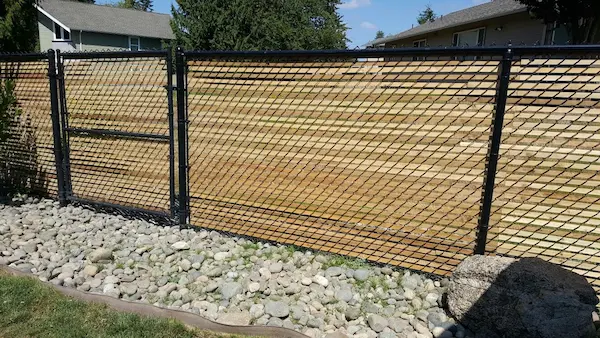 how to make a chain link fence look better