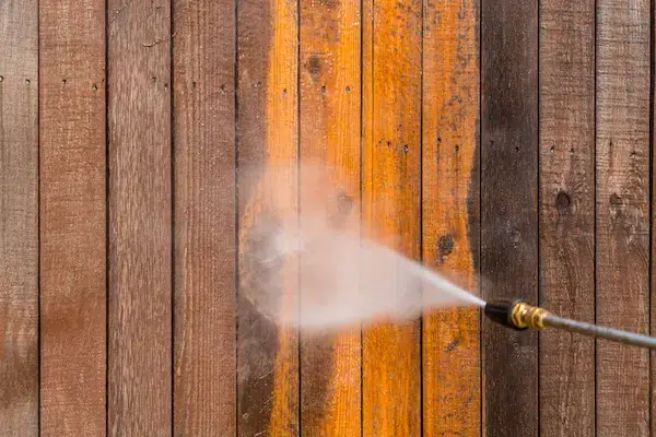 Can You Paint Cedar Fence Cleaning the Surface