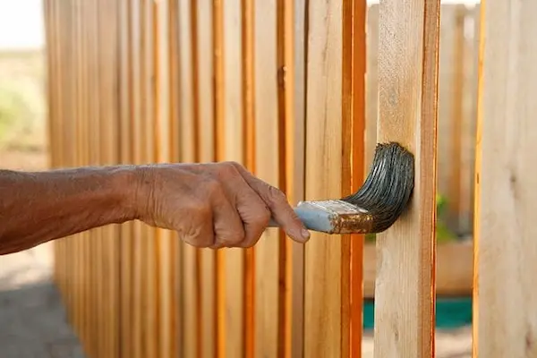 Can You Paint Cedar Fence Staining Cedar