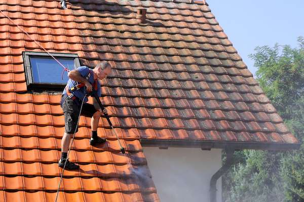 are clay roof tiles expensive Low Maintenance Requirements