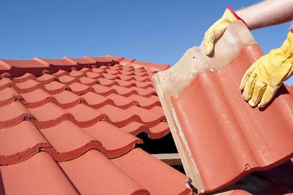 are clay roof tiles expensive regular-sized clay tiles