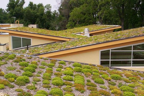 using green roofs
