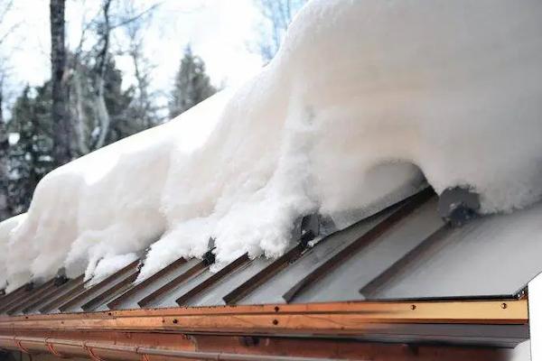 Snow Shedding